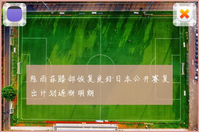 陈雨菲膝部恢复良好日本公开赛复出计划逐渐明朗