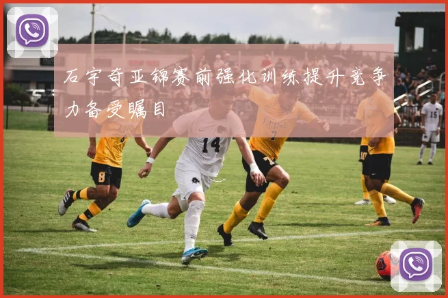 石宇奇亚锦赛前强化训练提升竞争力备受瞩目